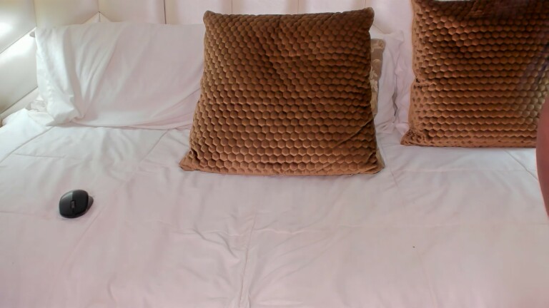 AmaraCollins's Streamate show and profile