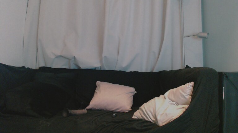 BlakeBexley's Streamate show and profile