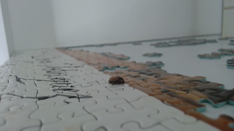 VicktoriaLou's Streamate show and profile