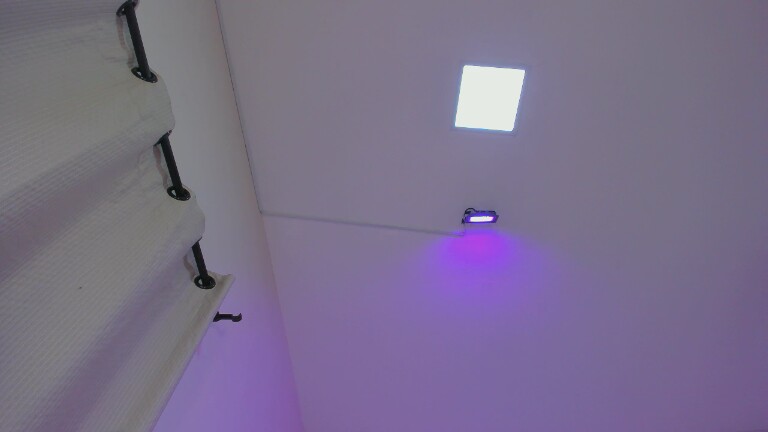 OliviaPagani's Streamate show and profile